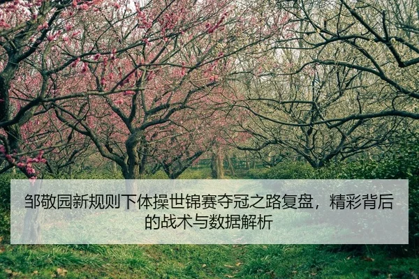 邹敬园新规则下体操世锦赛夺冠之路复盘，精彩背后的战术与数据解析