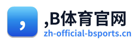 ,B体育官网